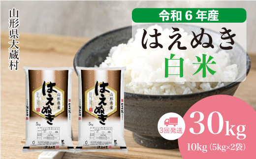 ＜令和6年産米＞ 令和7年6月中旬より配送開始 はえぬき【白米】30kg定期便 (10kg×3回)　大蔵村