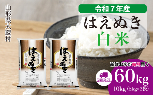 ＜令和7年産米＞ 令和8年4月中旬より発送 はえぬき【白米】60kg定期便(10kg×6回)