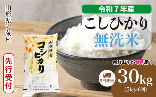 ＜令和7年産米先行受付＞ 令和8年2月中旬より発送 大蔵村産 こしひかり【無洗米】30kg定期便 (5kg×6回)　