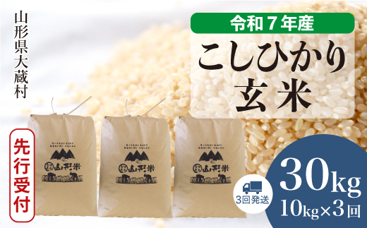 ＜令和7年産米先行受付＞ 令和8年2月下旬より発送 大蔵村産 こしひかり【玄米】30kg 定期便 (10kg×3回) 