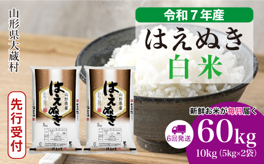 ＜令和7年産米先行受付＞ 令和7年12月下旬より発送 大蔵村産 はえぬき【白米】60kg定期便(10kg×6回)　