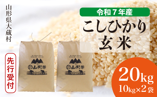 ＜令和7年産米先行受付＞ 令和7年11月中旬発送 大蔵村産 こしひかり 【玄米】 20kg （10kg×2袋） 