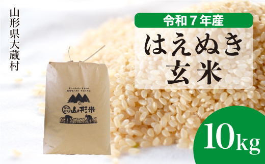 ＜令和7年産米＞ 令和8年8月下旬発送 はえぬき 【玄米】 10kg （10kg×1袋）