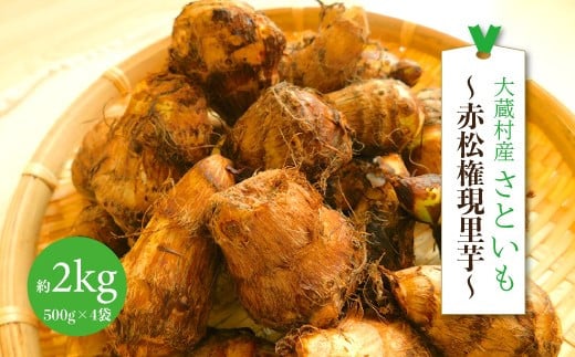 大蔵村産さといも　～赤松権現里芋～　約2kg