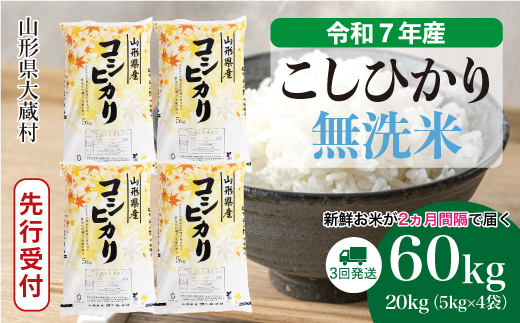 ＜令和7年産米先行受付＞ 令和7年12月下旬より発送 大蔵村産 こしひかり【無洗米】60kg定期便(20kg×3回)　