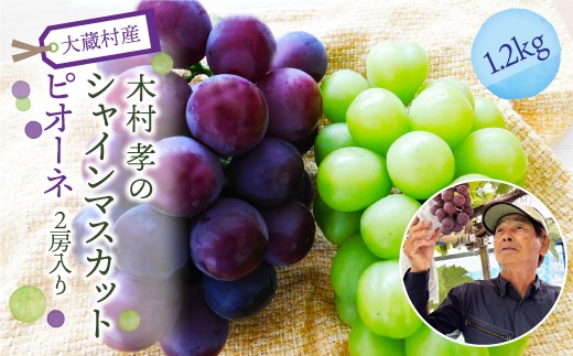 大蔵村産　シャインマスカット・ピオーネ　2房入り　1.2kg