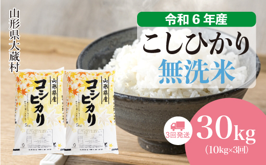 [令和6年産米] 令和6年11月下旬より配送開始 コシヒカリ[無洗米]30kg定期便 (10kg×3回) 大蔵村