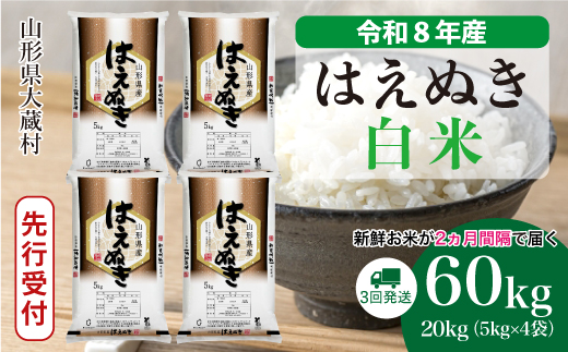 ＜令和8年産米先行受付＞ 令和9年4月中旬より発送  はえぬき【白米】60kg定期便(20kg×3回） 山形県大蔵村