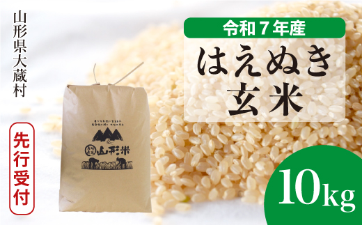 ＜令和7年産米先行受付＞ 大蔵村産 はえぬき 【玄米】 10kg （10kg×1袋） 配送時期指定できます！