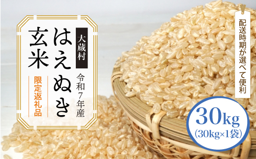 ■数量限定■ 令和8年7月中旬発送 ＜令和7年産＞ はえぬき 【玄米】 30kg （30kg×1袋） 沖縄県・離島配送不可　大蔵村