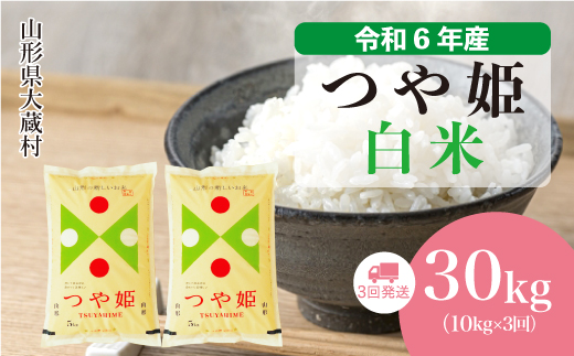 [令和6年産米] 令和6年11月下旬より配送開始 特別栽培米 つや姫[白米]30kg定期便 (10kg×3回) 大蔵村