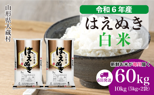 ＜令和6年産米＞ 令和7年1月下旬より配送開始 はえぬき【白米】60kg定期便(10kg×6回)　大蔵村