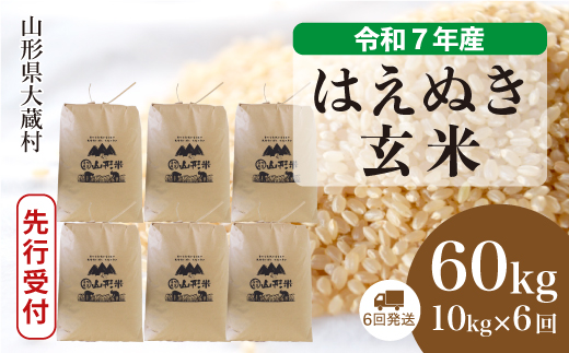 ＜令和7年産米先行受付＞ 大蔵村産 はえぬき 【玄米】60kg定期便(10kg×6回)　配送時期指定できます！