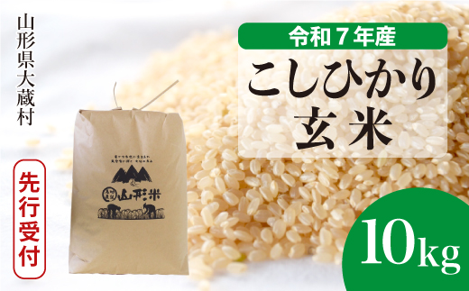 ＜令和7年産米先行受付＞ 令和7年12月下旬発送 大蔵村産 こしひかり 【玄米】 10kg （10kg×1袋） 