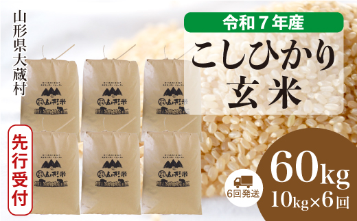 ＜令和7年産米先行受付＞ 大蔵村産 こしひかり 【玄米】60kg定期便(10kg×6回)　配送時期指定できます！