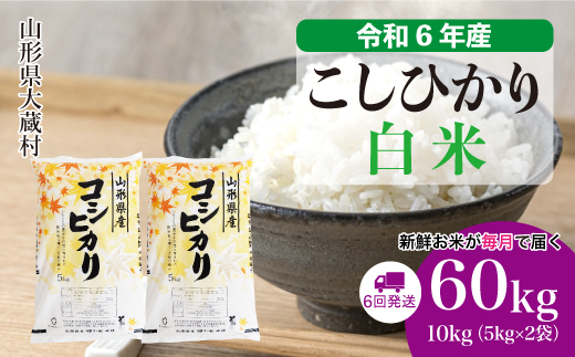 ＜令和6年産米＞ 山形県産 コシヒカリ【白米】60kg定期便(10kg×6回)　お申込みから2週間程度でお届け