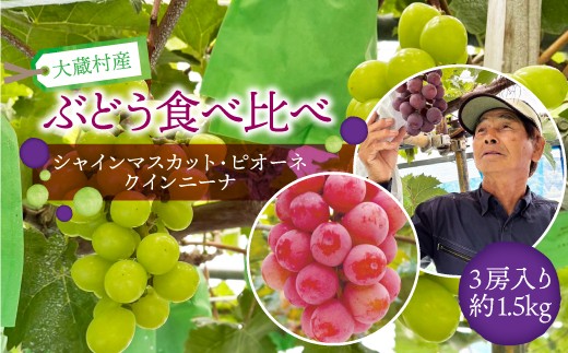 大蔵村産　ぶどう［シャインマスカット・ピオーネ・クインニーナ］食べ比べ　約1.5kg