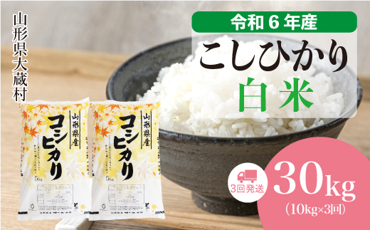 [令和6年産米] 令和6年11月下旬より配送開始 コシヒカリ[白米]30kg定期便 (10kg×3回) 大蔵村