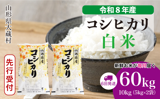 ＜令和8年産米先行受付＞ 令和9年2月下旬より発送  こしひかり【白米】60kg定期便(10kg×6回） 山形県大蔵村