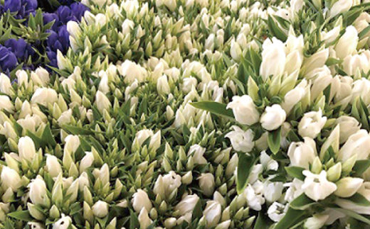 螟ァ阡オ譚代ョ闃ア縲繧翫s縺ゥ縺