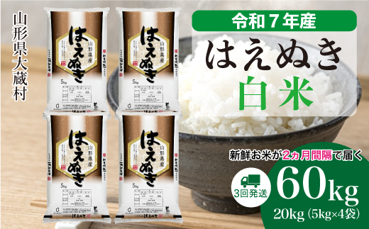 ＜令和7年産米＞ 令和8年5月上旬より発送 はえぬき【白米】60kg定期便(20kg×3回)