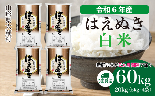 ＜令和6年産米＞ 山形県産 はえぬき 【白米】60kg定期便(20kg×3回)　お申込みから2週間程度でお届け