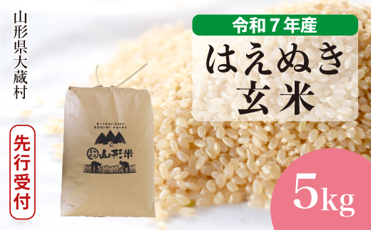 ＜令和7年産米先行受付＞ 大蔵村産 はえぬき 【玄米】 5kg （5kg×1袋） 配送時期指定できます！