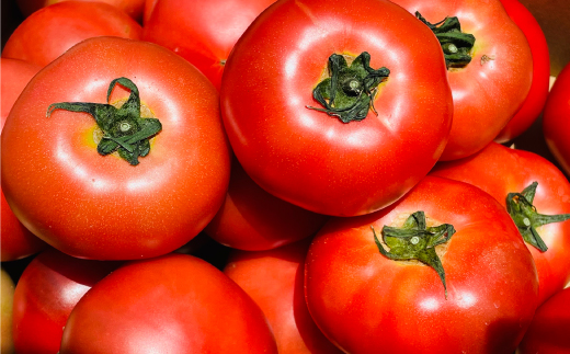 大蔵山蕎麦ねぎぼうず　大蔵村産トマトと十割そば※2026年7月より発送