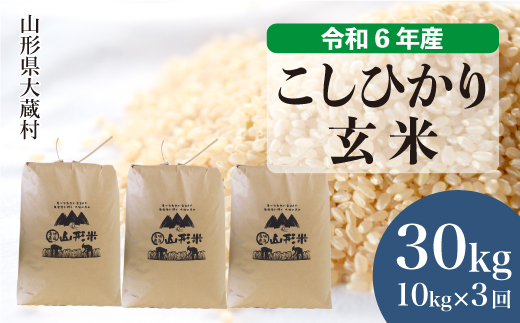 [令和6年産米] 山形県産 コシヒカリ[玄米]30kg 定期便 (10kg×3回) お申込みから2週間程度でお届け