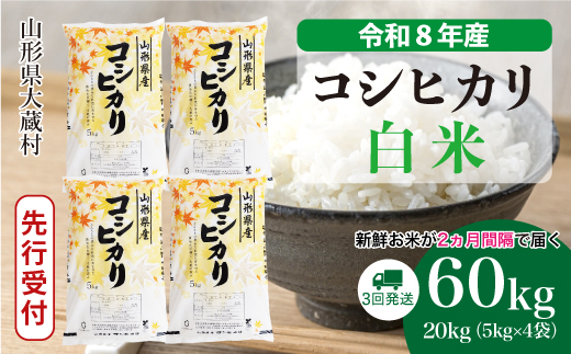 ＜令和8年産米先行受付＞ 令和9年1月中旬より発送  こしひかり【白米】60kg定期便(20kg×3回） 山形県大蔵村