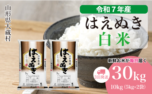 ＜令和7年産米＞ 令和8年2月上旬より発送 はえぬき【白米】30kg定期便 (10kg×3回)