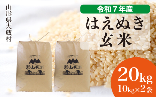 ＜令和7年産米＞ 令和8年3月中旬発送 はえぬき 【玄米】 20kg （10kg×2袋）