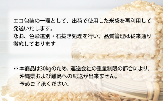 ■数量限定■ 令和8年9月上旬発送 ＜令和7年産＞ 雪若丸 【玄米】 30kg （30kg×1袋） 沖縄県・離島配送不可　大蔵村