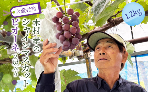 大蔵村産　シャインマスカット・ピオーネ　2房入り　約1.2kg