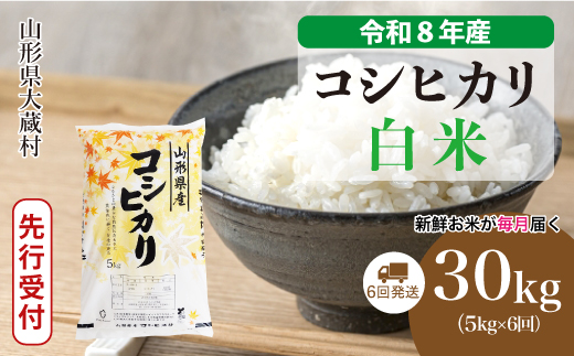 ＜令和8年産米先行受付＞ 令和9年3月中旬より発送  こしひかり【白米】30kg定期便 (5kg×6回） 山形県大蔵村