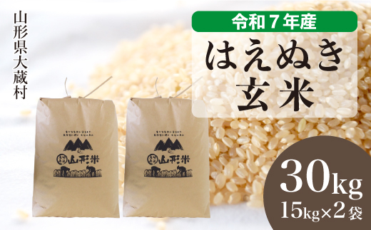 ＜令和7年産米＞ 令和8年6月上旬発送 はえぬき 【玄米】 30kg （15kg×2袋） 沖縄県・離島配送不可