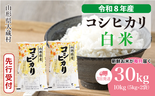 ＜令和8年産米先行受付＞ 令和8年11月中旬より発送  こしひかり【白米】30kg定期便 (10kg×3回） 山形県大蔵村