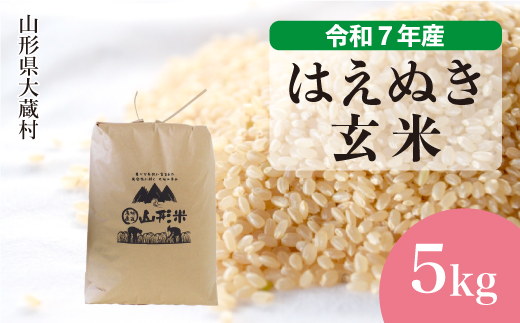 ＜令和7年産米＞ 令和8年2月中旬発送 はえぬき 【玄米】 5kg （5kg×1袋）