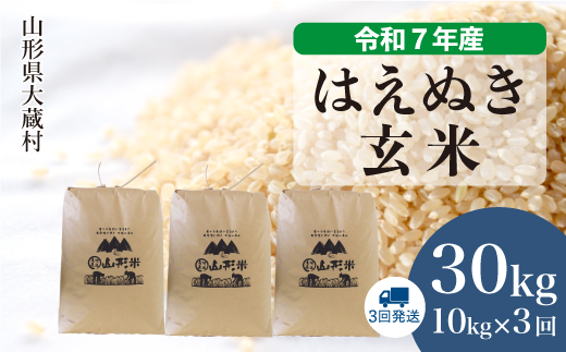 ＜令和7年産米＞ 令和8年5月上旬より発送 はえぬき【玄米】30kg 定期便 (10kg×3回)