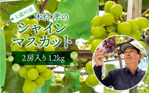 大蔵村産　シャインマスカット　2房入り　約1.2kg