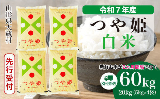 ＜令和7年産米先行受付＞ 大蔵村産 特別栽培米 つや姫 【白米】60kg定期便(20kg×3回)　配送時期指定できます！