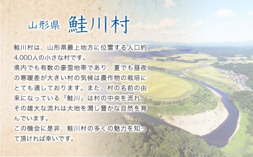 令和6年産　山形95号［白米］10㎏（5kg×2袋）山形県鮭川村