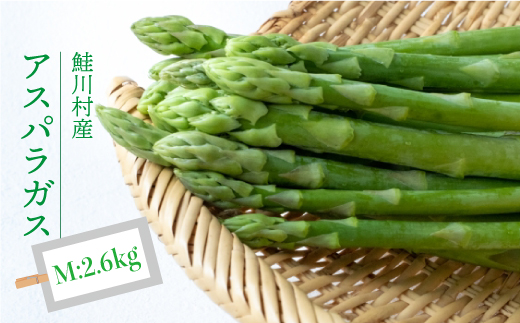 鮭川村産　アスパラガス　＜Mサイズ：2.6kg＞