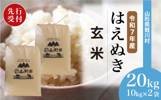 ＜令和7年産米先行受付＞ 令和7年11月下旬発送　はえぬき 【玄米】 20kg （10kg×2袋） 鮭川村