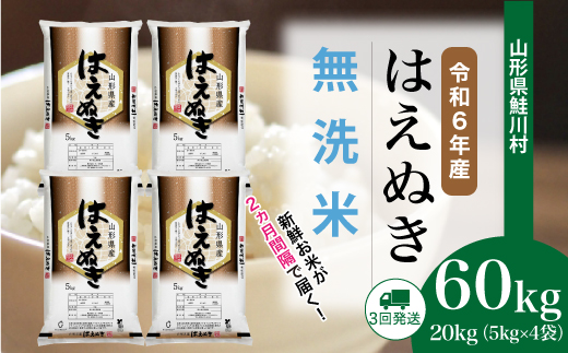 ＜令和6年産米＞ 令和7年2月上旬より配送開始 はえぬき【無洗米】60kg定期便(20kg×3回)　鮭川村