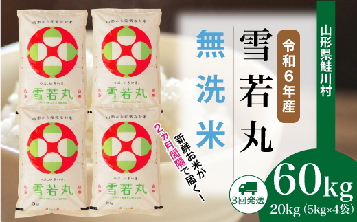 ＜令和6年産米＞ 令和7年2月上旬より配送開始 雪若丸【無洗米】60kg定期便(20kg×3回)　鮭川村