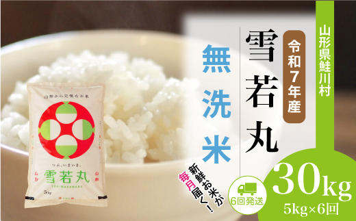＜令和7年産米＞ 令和7年12月下旬より配送開始 雪若丸【無洗米】30kg定期便 (5kg×6回)　鮭川村