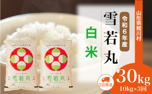 ＜令和6年産米＞ 令和7年7月上旬より配送開始 雪若丸【白米】30kg定期便 (10kg×3回)　鮭川村