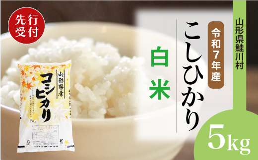 ＜令和7年産米先行受付＞ 令和7年11月上旬発送　こしひかり 【白米】 5kg （5kg×1袋） 鮭川村