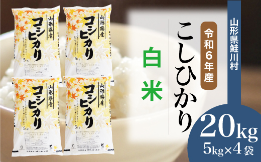 ＜令和6年産米＞令和7年8月下旬発送　コシヒカリ 【白米】 20kg （5kg×4袋） 鮭川村